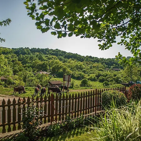 Hébergement de vacances Gramatikova House